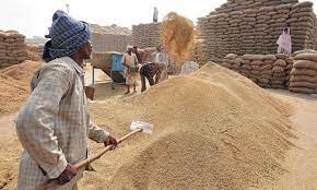 control-room-has-been-set-up-for-paddy-procurement