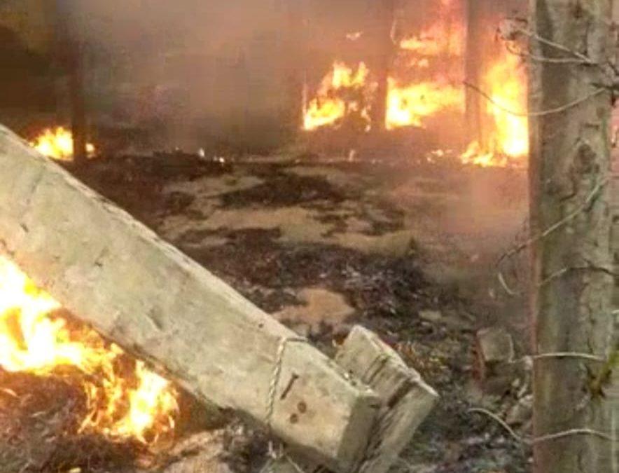 आग से 4200 चूजों की जिंदा जलकर मौत