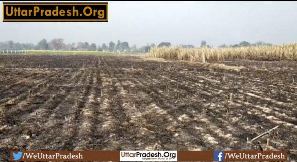 30-bighas-of-sugarcane-crop-burnt-to-ashes-due-to-fire-at-2-places