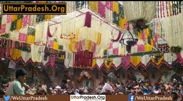 phool-bangla-festival-started-in-thakur-banke-bihari-temple