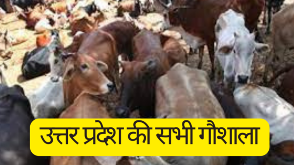 गौशाला: उत्तर प्रदेश की सभी गौशालाओं (UP Gaushala) का विवरण